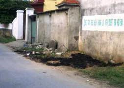 Thanh Hóa: 'Cẩu tặc' thiệt mạng trên đường bỏ chạy