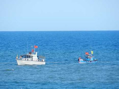 Hơn 2.300 người diễn tập ứng phó với sóng thần