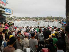 Thuyền trưởng 'đánh chìm' một thai phụ lãnh án