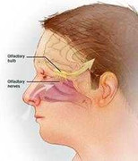 Trong tháng 8, 'amip ăn não người' giết chết 3 trẻ em