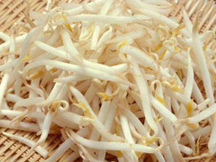 Hà Nội: Đã có kết quả kiểm tra hóa chất trong giá đỗ