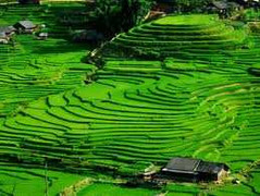 Ruộng bậc thang được công nhận Di tích Quốc gia