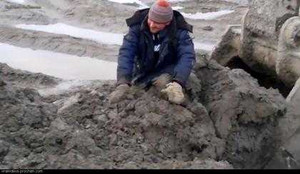 Mắc kẹt trong bùn lầy, nhờ máy xúc giải cứu