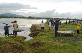 Thi thể nữ sinh mất tích bí ẩn bên lò gạch