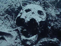 Nhà tù Phú Quốc: Những cuộc thảm sát man rợ chưa kể