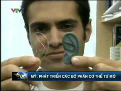 Mỹ: Tái tạo các bộ phận cơ thể từ mô