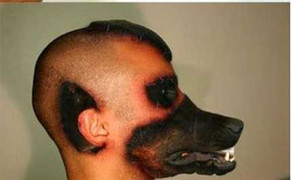 Xôn xao ca phẫu thuật chàng trai thành.. chó