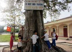 Kỳ lạ ngôi trường miền núi có 4 cây di sản