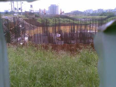 Điêu đứng vì dốc tiền mua chung cư Tincom Pháp Vân