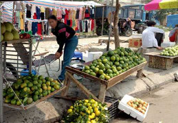 Bí mật cam siêu rẻ giá 10.000 đồng/kg