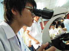 Vì sao Việt Nam tụt hạng về chỉ số trí tuệ?