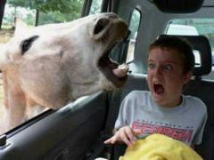 Khóc thét với các trò dọa dẫm