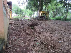 Lạ lùng “cầu tõm” hơn 3.500 tuổi ở Long An