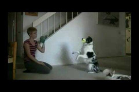 Chú chó có biệt tài bắt chước