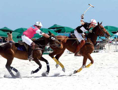 Triệu phú mới nổi Trung Quốc rộ mốt chơi mã cầu