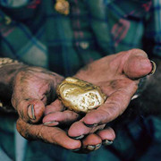 Cơn sốt đào vàng mới tại California