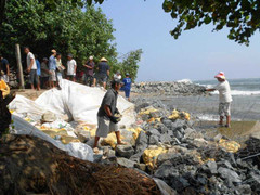Hàng trăm người tấp nập đắp đê biển chống bão số 7