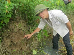 Bí ẩn cánh đồng xương ở Thanh Hóa