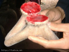 Ly kỳ quý bà xuất ngoại săn… “siêu dược khuê phòng