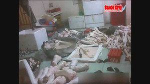 Kinh hoàng thịt thối tuồn vào thành phố