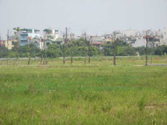 Có nên bán vàng để mua nhà đất?