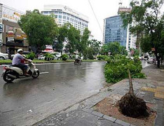 Hình ảnh bão số 7 suy yếu thành áp thấp nhiệt đới