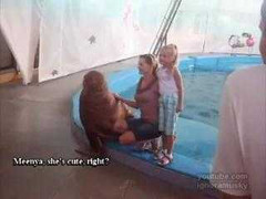 Sư tử biển 'sàm sỡ' du khách