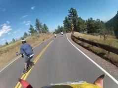 Lướt ván tốc độ cao đâm trúng... hươu