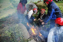 Sa Pa rét sâu, chạm ngưỡng 11 độ C