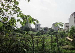 Dự án cù nhầy 10 năm không xây: Quan chức Sở nói gì?