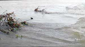 Tìm người mất tích bị nước lũ cuốn trôi