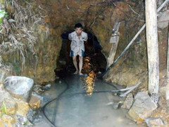 Gửi tấm thân tàn nơi rừng thiêng nước độc