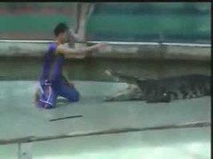 Những hành động ngu ngốc được cư dân mạng bình chọn