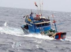 Cá kiếm đâm chìm tàu cá