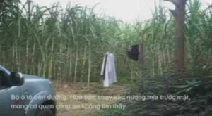 'Ông trùm' buôn hổ lẩn vào rừng mía, trốn cảnh sát