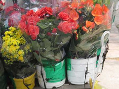 Quà 20/10: Dịch vụ nhận đặt hoa theo yêu cầu lên ngôi