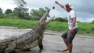 Màn nhử cá sấu ăn cực mạo hiểm