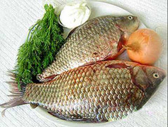 Ăn cá chép sống, sán hoành hành trong thanh quản