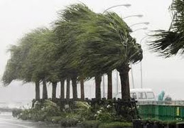 Áp thấp nhiệt đới mạnh lên thành bão