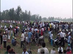 Trộm chó lộng hành: Chính quyền địa phương ở đâu?