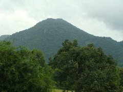 “Quái thú” bí ẩn và chiếc sừng hút độc rắn ở Thất Sơn