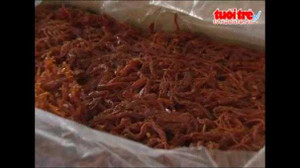 Phát hiện mực tẩm nhiễm ký sinh trùng gây bệnh