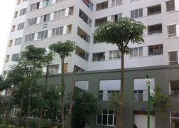 Chính phủ ủng hộ việc hạ giá, bán nhà giá rẻ