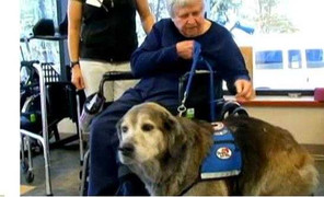 Người phụ nữ thoát chết nhờ chó thông minh