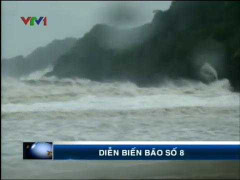 Video sức tàn phá bão số 8 từ Thanh Hóa - Quảng Ninh