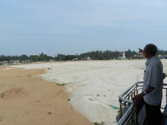 Vừa được đầu tư nuôi đã bị san bằng hồ tôm