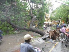 Những hình ảnh khủng khiếp do bão số 8 gây ra