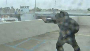 Phóng viên bị gió thổi bay về phía sau