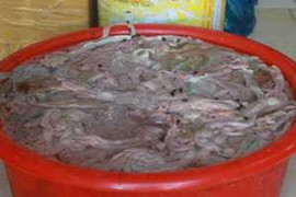 Khiếp hãi 2 tấn lòng thối suýt lên bàn ăn