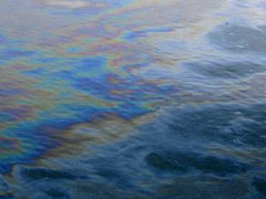 Bão Sandy 'ném' cả nghìn m3 dầu diesel ra biển